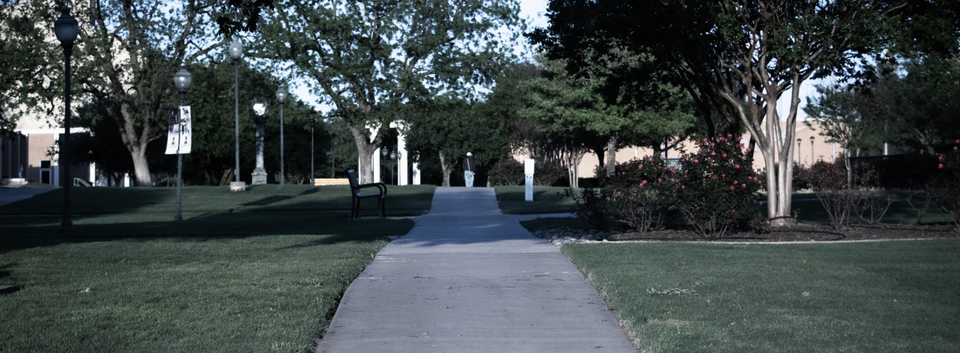 Empty Campus: Photo Essay